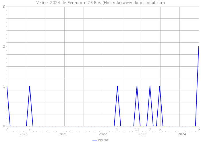 Visitas 2024 de Eenhoorn 75 B.V. (Holanda) 