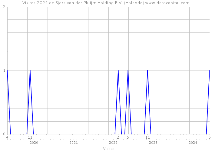 Visitas 2024 de Sjors van der Pluijm Holding B.V. (Holanda) 