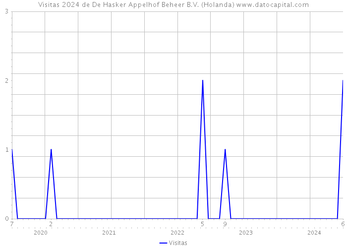 Visitas 2024 de De Hasker Appelhof Beheer B.V. (Holanda) 