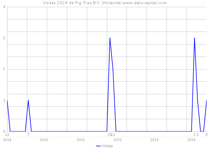 Visitas 2024 de Fig Tree B.V. (Holanda) 