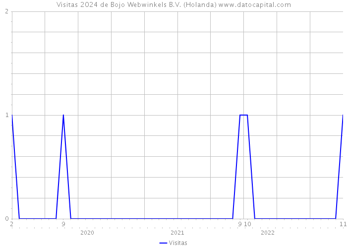 Visitas 2024 de Bojo Webwinkels B.V. (Holanda) 