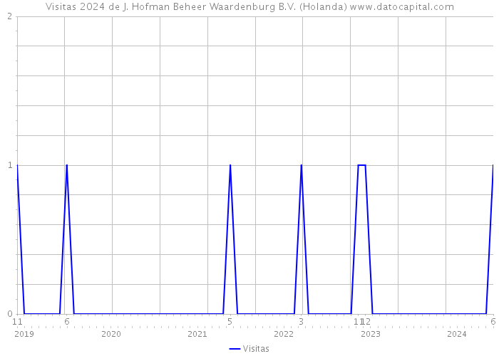 Visitas 2024 de J. Hofman Beheer Waardenburg B.V. (Holanda) 