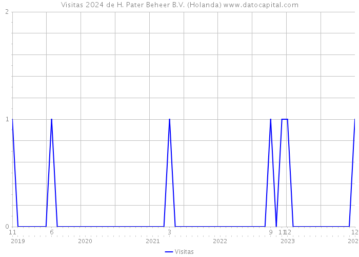 Visitas 2024 de H. Pater Beheer B.V. (Holanda) 