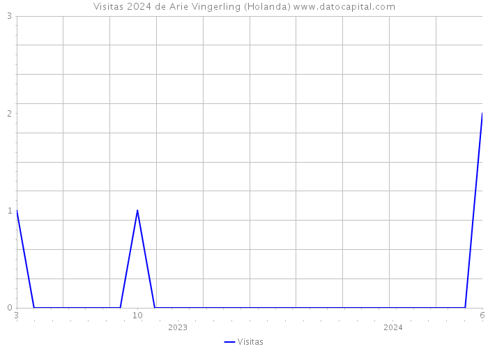 Visitas 2024 de Arie Vingerling (Holanda) 