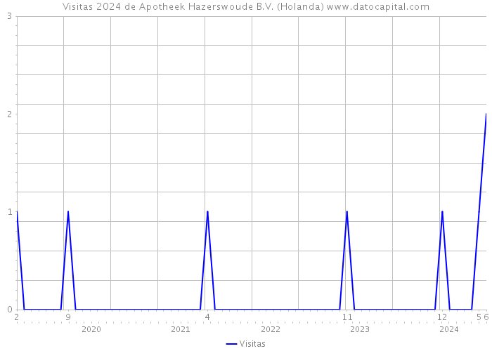 Visitas 2024 de Apotheek Hazerswoude B.V. (Holanda) 