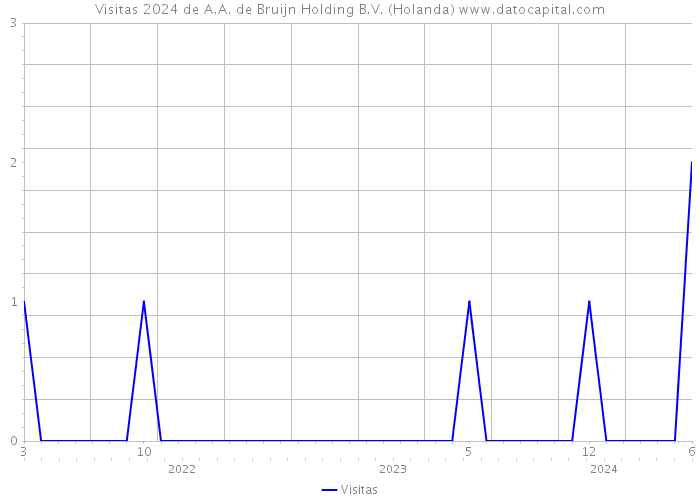 Visitas 2024 de A.A. de Bruijn Holding B.V. (Holanda) 