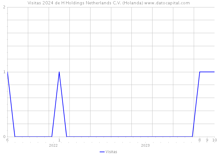 Visitas 2024 de H Holdings Netherlands C.V. (Holanda) 