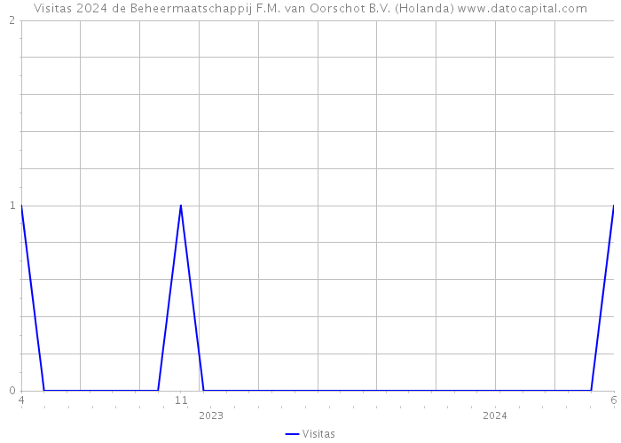 Visitas 2024 de Beheermaatschappij F.M. van Oorschot B.V. (Holanda) 