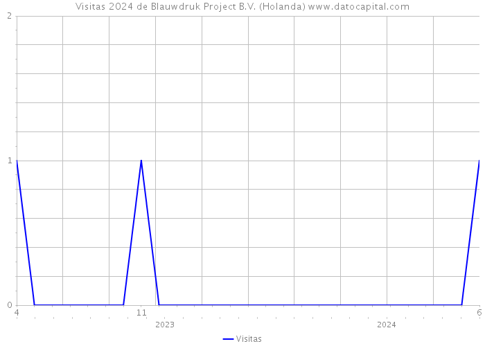 Visitas 2024 de Blauwdruk Project B.V. (Holanda) 