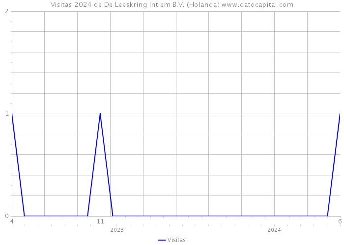 Visitas 2024 de De Leeskring Intiem B.V. (Holanda) 