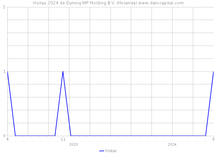 Visitas 2024 de Dynniq MP Holding B.V. (Holanda) 