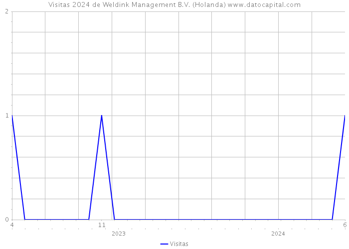 Visitas 2024 de Weldink Management B.V. (Holanda) 