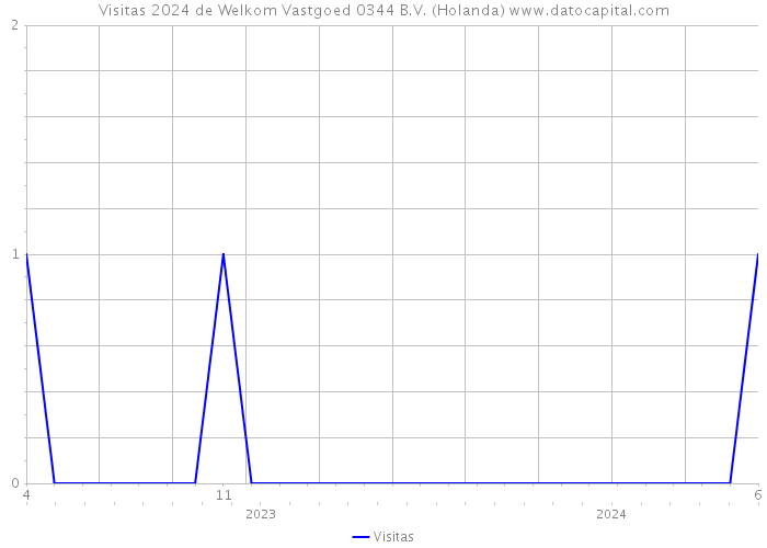 Visitas 2024 de Welkom Vastgoed 0344 B.V. (Holanda) 