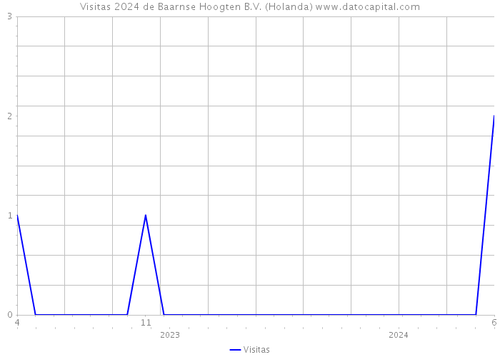 Visitas 2024 de Baarnse Hoogten B.V. (Holanda) 