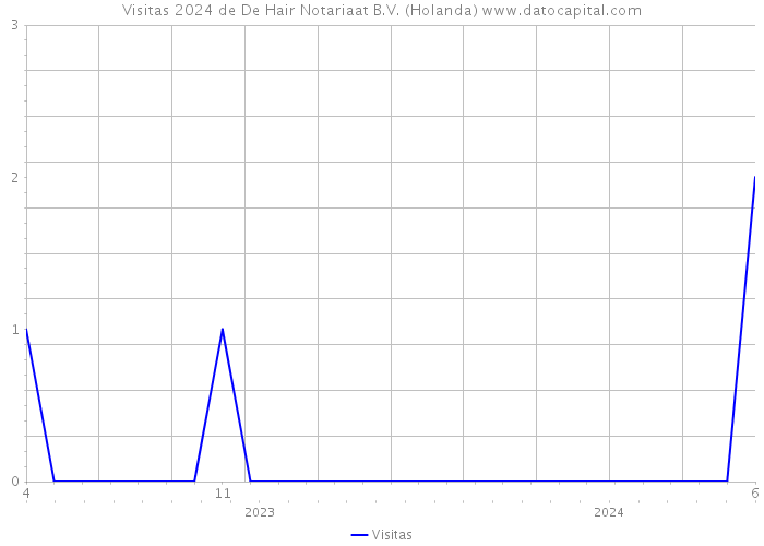 Visitas 2024 de De Hair Notariaat B.V. (Holanda) 