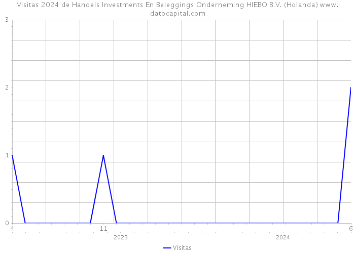 Visitas 2024 de Handels Investments En Beleggings Onderneming HIEBO B.V. (Holanda) 