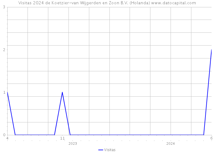 Visitas 2024 de Koetzier-van Wijgerden en Zoon B.V. (Holanda) 