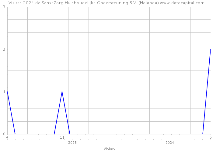 Visitas 2024 de SenseZorg Huishoudelijke Ondersteuning B.V. (Holanda) 