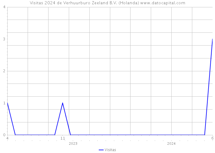 Visitas 2024 de Verhuurburo Zeeland B.V. (Holanda) 