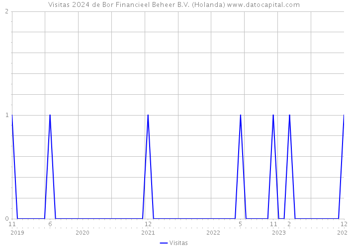 Visitas 2024 de Bor Financieel Beheer B.V. (Holanda) 