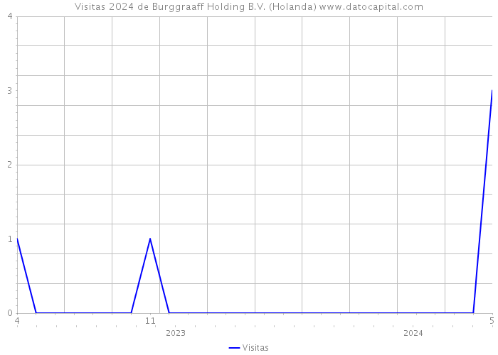 Visitas 2024 de Burggraaff Holding B.V. (Holanda) 