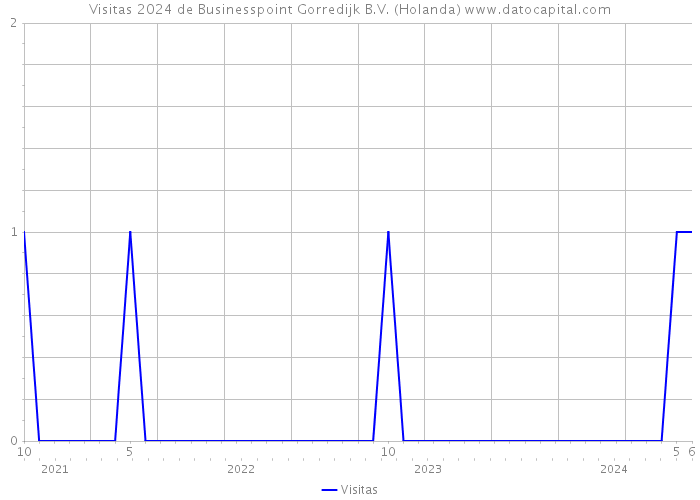 Visitas 2024 de Businesspoint Gorredijk B.V. (Holanda) 