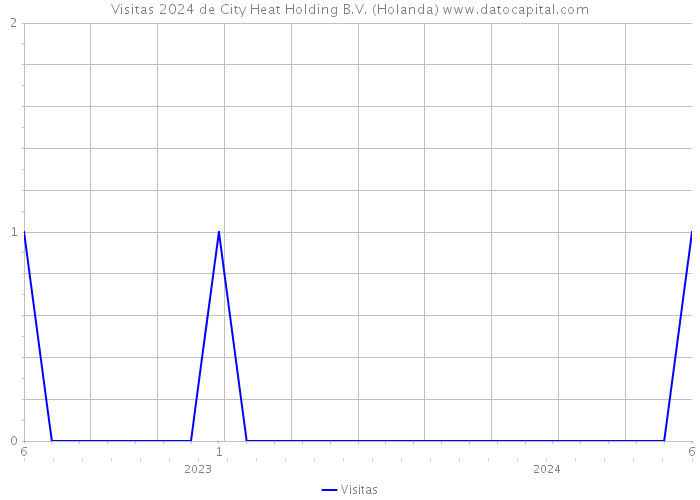 Visitas 2024 de City Heat Holding B.V. (Holanda) 