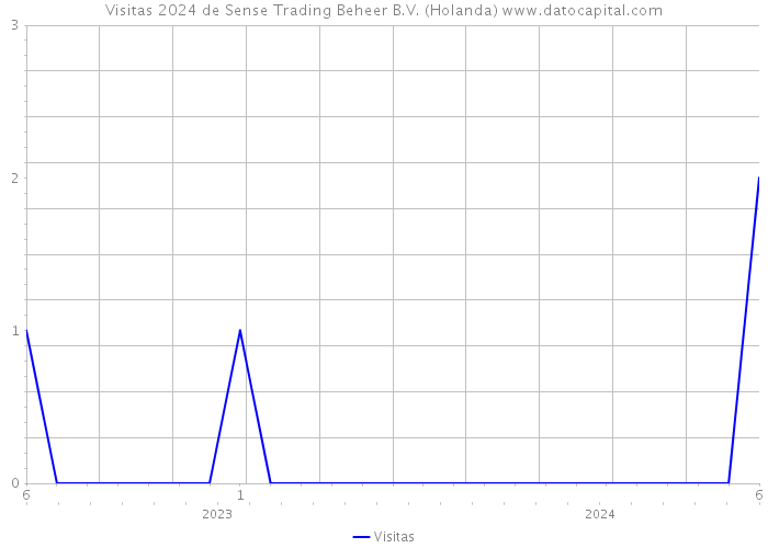 Visitas 2024 de Sense Trading Beheer B.V. (Holanda) 