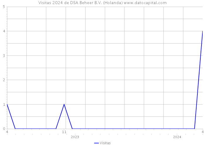 Visitas 2024 de DSA Beheer B.V. (Holanda) 