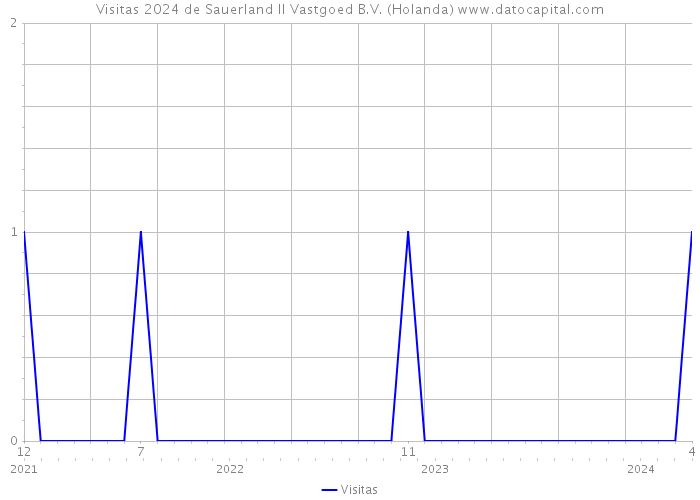 Visitas 2024 de Sauerland II Vastgoed B.V. (Holanda) 