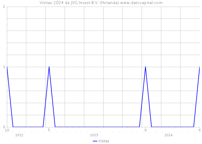 Visitas 2024 de JVG Invest B.V. (Holanda) 