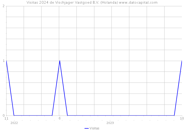 Visitas 2024 de Vischjager Vastgoed B.V. (Holanda) 