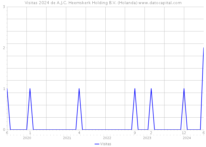 Visitas 2024 de A.J.C. Heemskerk Holding B.V. (Holanda) 