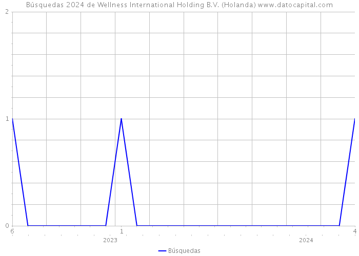 Búsquedas 2024 de Wellness International Holding B.V. (Holanda) 