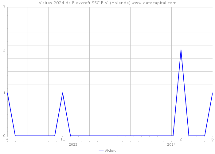 Visitas 2024 de Flexcraft SSC B.V. (Holanda) 