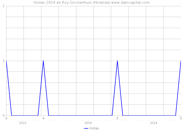 Visitas 2024 de Roy Grootenhuis (Holanda) 