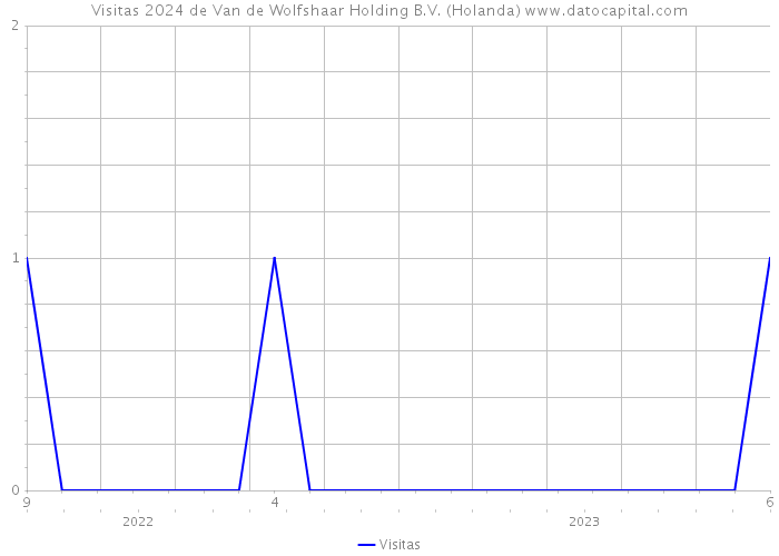 Visitas 2024 de Van de Wolfshaar Holding B.V. (Holanda) 