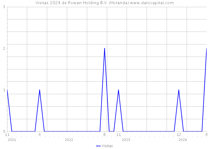 Visitas 2024 de Rowan Holding B.V. (Holanda) 