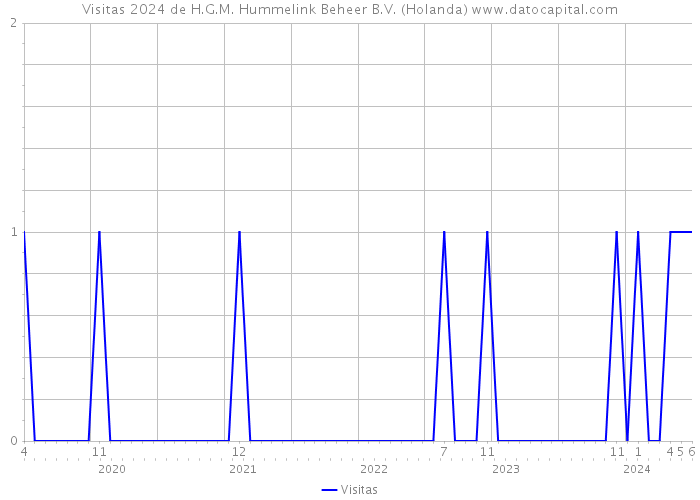 Visitas 2024 de H.G.M. Hummelink Beheer B.V. (Holanda) 