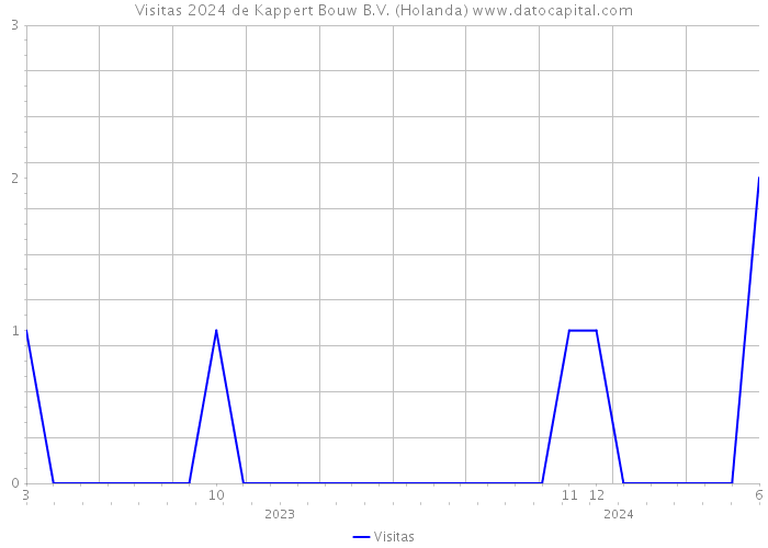 Visitas 2024 de Kappert Bouw B.V. (Holanda) 