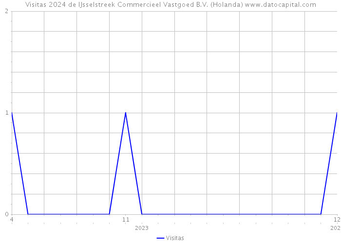 Visitas 2024 de IJsselstreek Commercieel Vastgoed B.V. (Holanda) 