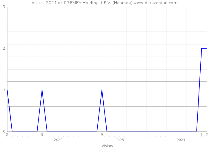 Visitas 2024 de PP EMEA Holding 1 B.V. (Holanda) 