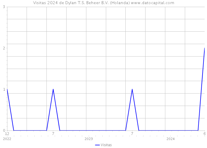 Visitas 2024 de Dylan T.S. Beheer B.V. (Holanda) 