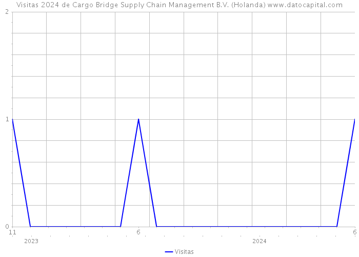 Visitas 2024 de Cargo Bridge Supply Chain Management B.V. (Holanda) 
