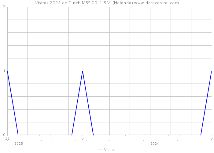 Visitas 2024 de Dutch MBS 00-1 B.V. (Holanda) 