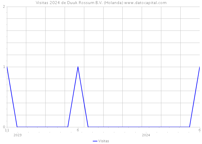 Visitas 2024 de Duuk Rossum B.V. (Holanda) 