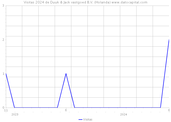 Visitas 2024 de Duuk & Jack vastgoed B.V. (Holanda) 