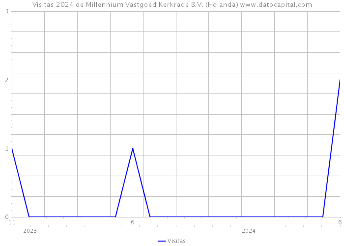 Visitas 2024 de Millennium Vastgoed Kerkrade B.V. (Holanda) 