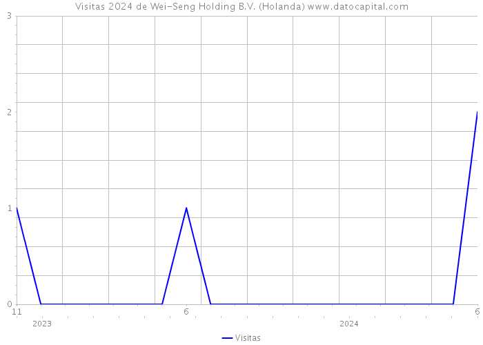 Visitas 2024 de Wei-Seng Holding B.V. (Holanda) 