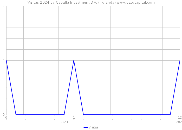 Visitas 2024 de Caballa Investment B.V. (Holanda) 